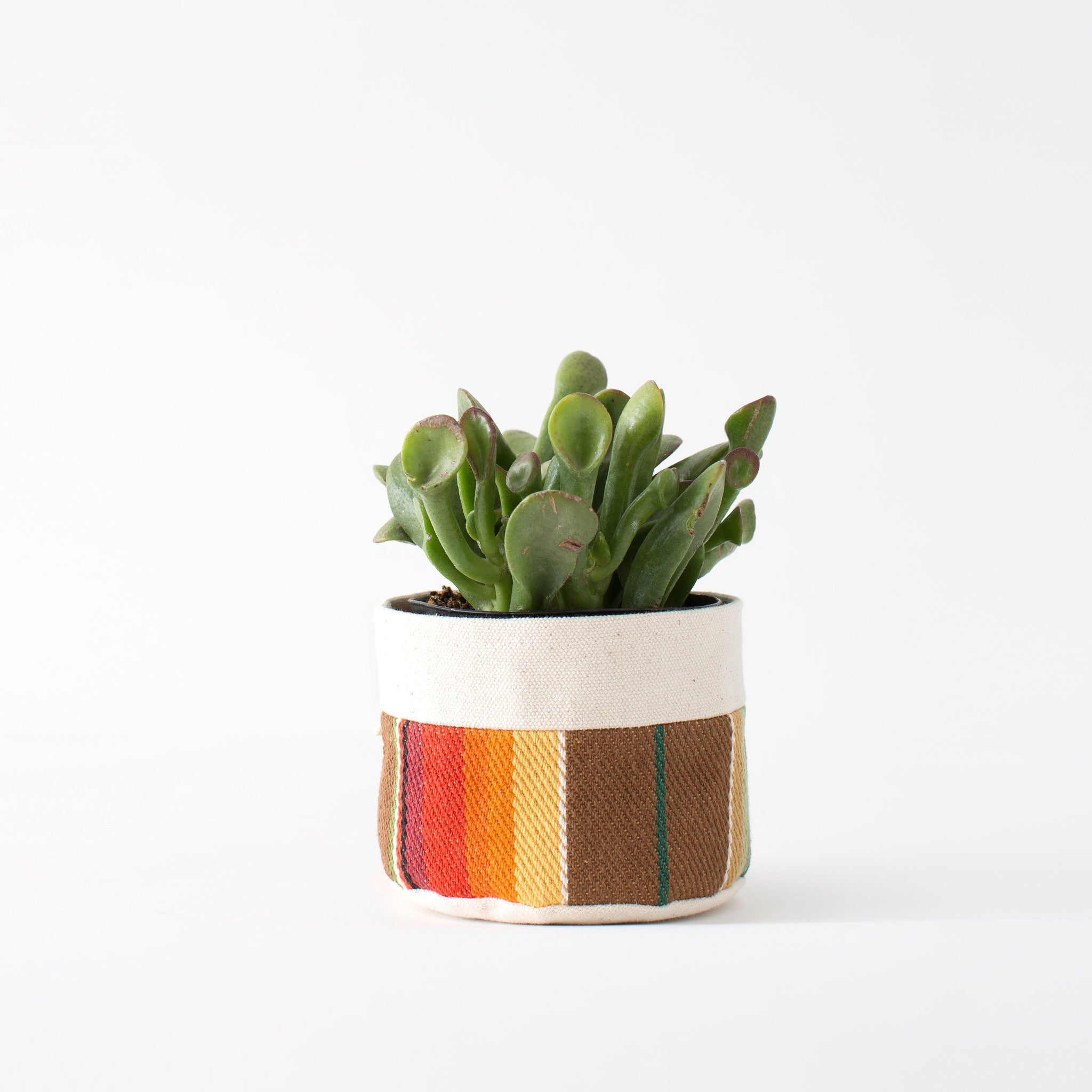 https://www.beingoodcompany.com/cdn/shop/products/Brown-Small-Planter-1_square.jpg?v=1598926592